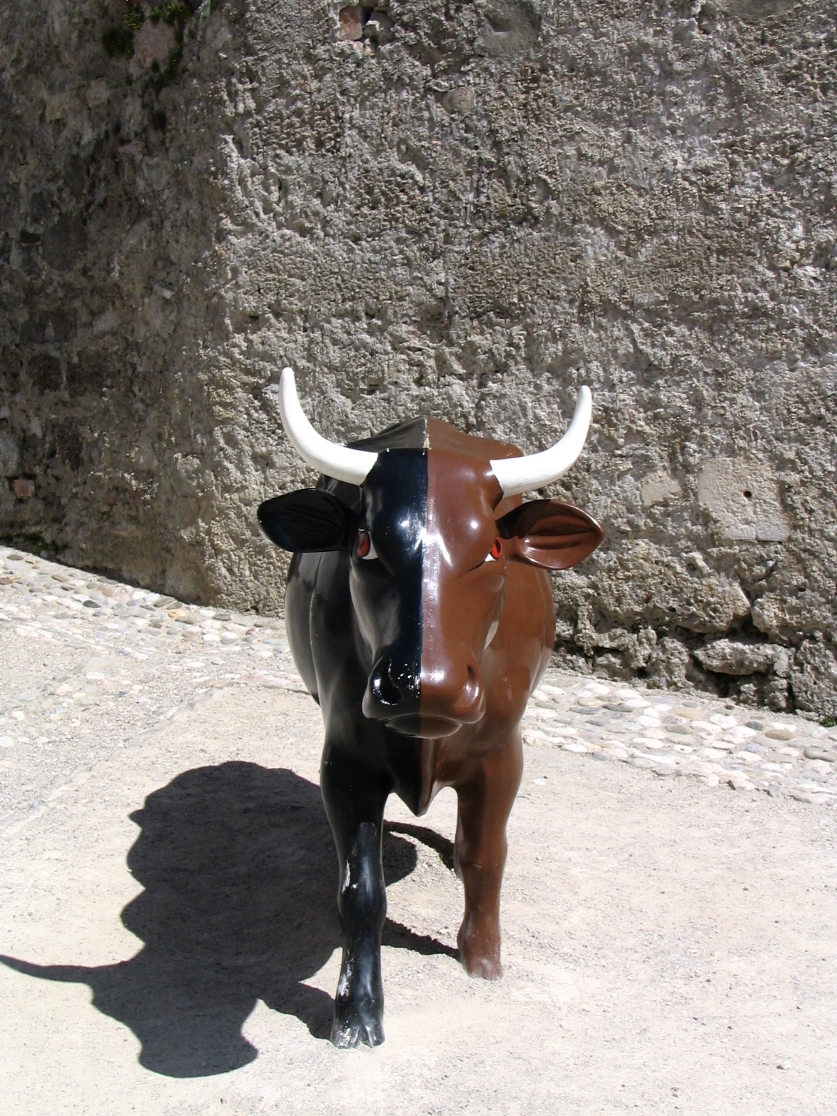 Salzburg bull